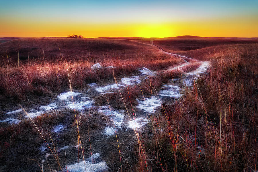Trail To The Sun Photograph by Brad Mangas