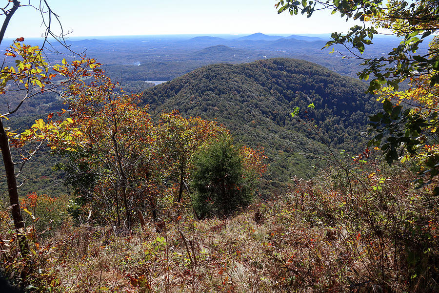 Trailside Mountain View Photograph by Ed Williams