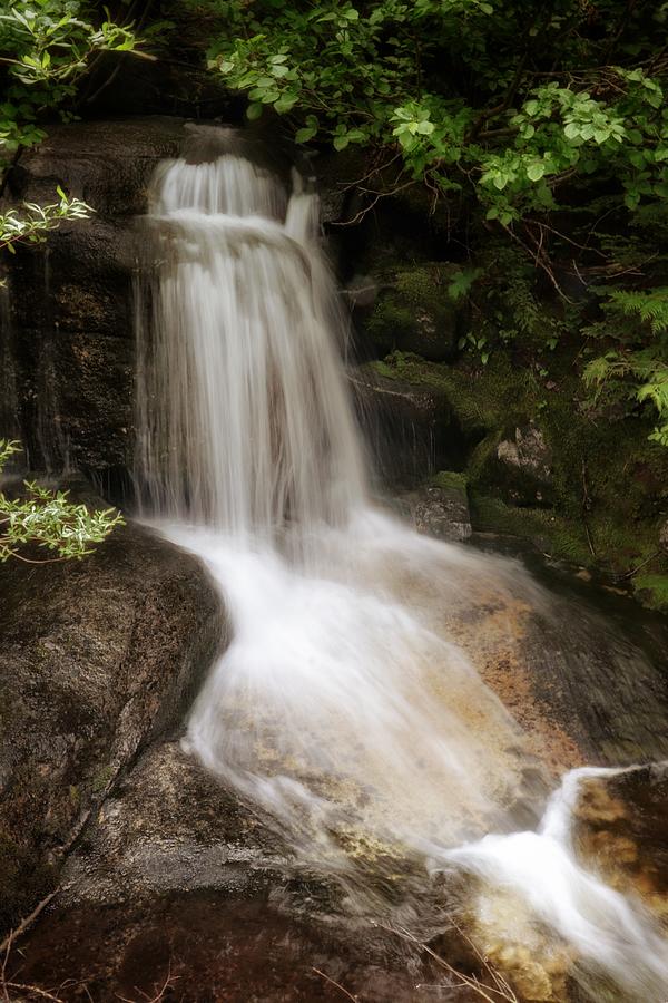 Trailside Waterfall Photograph by Scenic Symphonies By Laura Stille ...