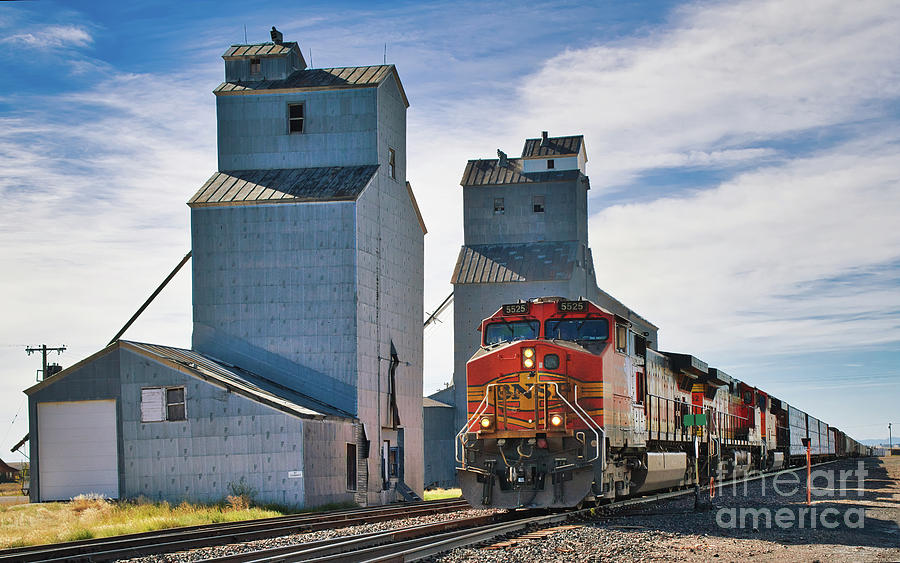 Train and Grain Elevator Photograph by Jerry Fornarotto