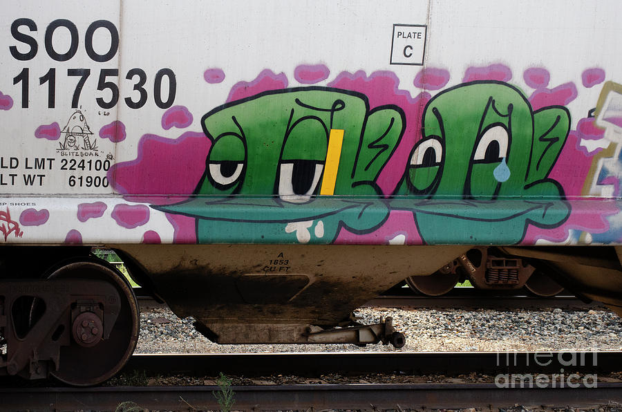 Train Graffiti 8 Photograph by Bob Christopher
