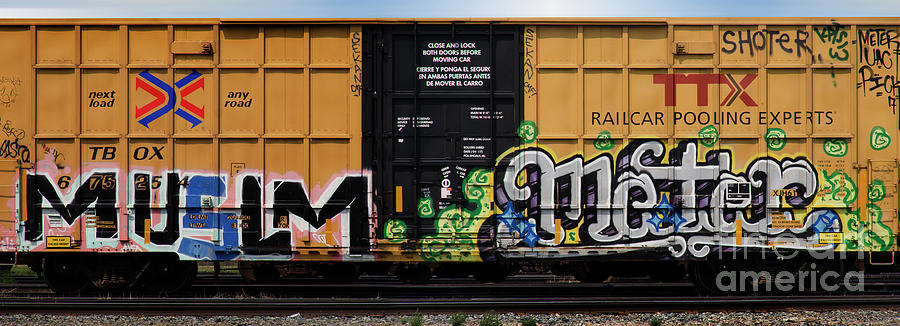 Train Graffiti Saskatchewan 7 Photograph by Bob Christopher