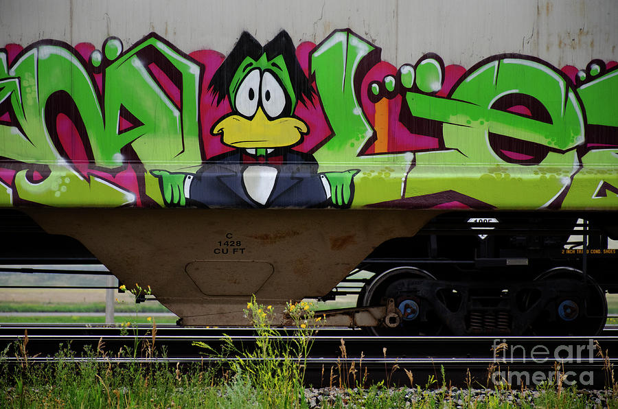 Train Graffiti Saskatchewan 2 Photograph by Bob Christopher