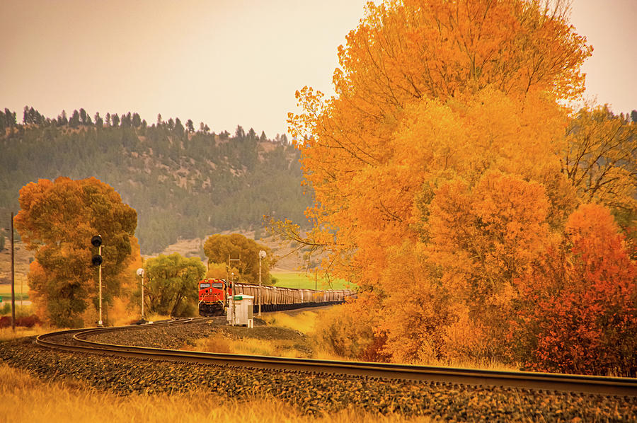 Train in Autumn  Photograph by Jeff Swan