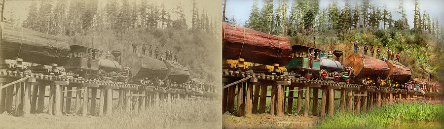 Train - Logging - The morning dump 1890 - Side by Side Photograph by Mike Savad