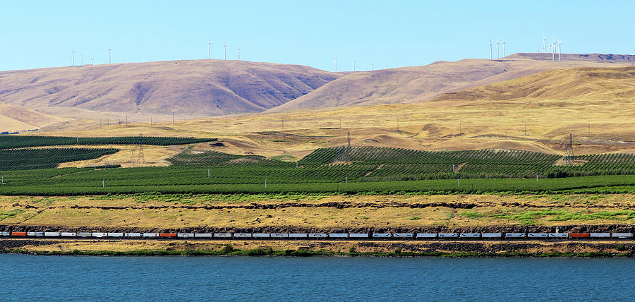 Train on the Columbia River Photograph by Mary Anne Delgado