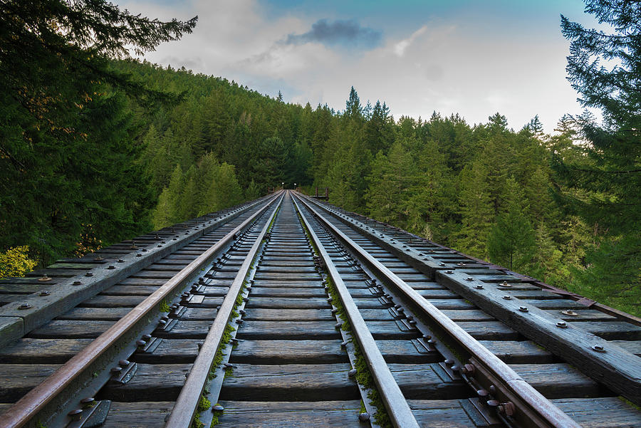 Train Tracks Photograph by Bill Cubitt