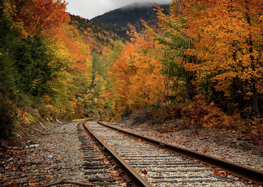 Train Tracks In Fall Photograph by Dan Sproul