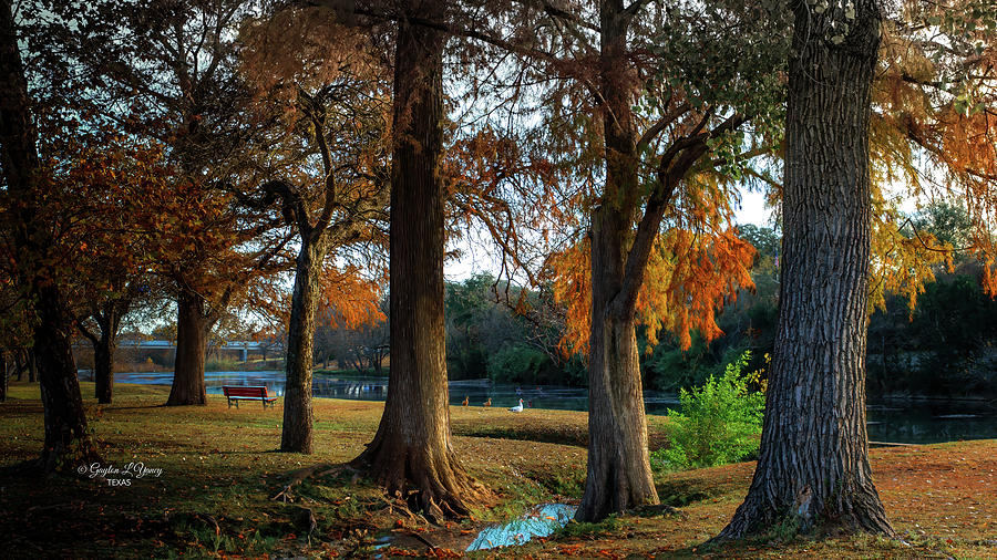 Tranquil autumn moments by the San Gabriel River Photograph by G Lamar Yancy