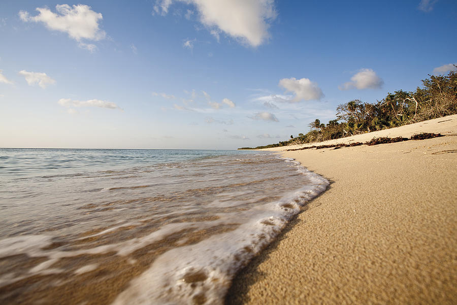 Tranquil beach scene Photograph by PhotoAlto/James Hardy