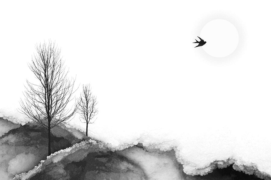 Tranquil Black And White Landscape Art Painting by Sharon Cummings Tranquil Black And White Landscape Art Painting by Sharon Cummings