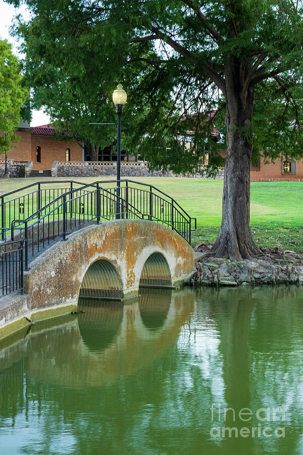 Tranquil Footbridge Over a Serene Pond Photograph by Brigitte Blanchette Thompson