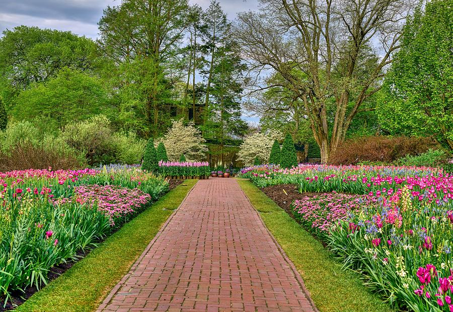 Flower Photograph - Tranquil Garden Walkway by Mountain Dreams