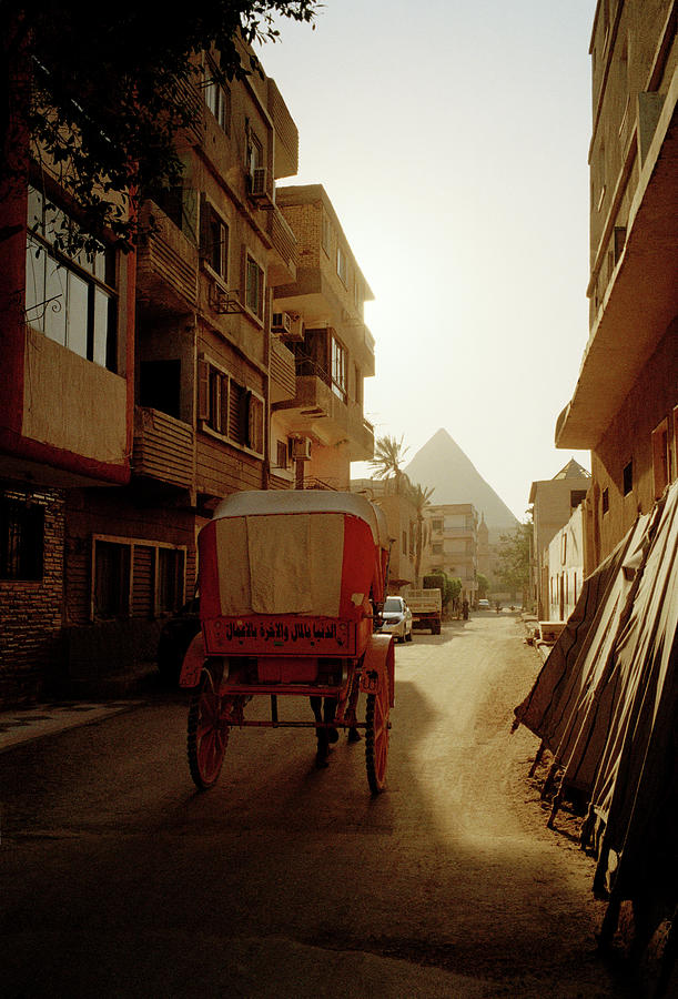 Tranquil Giza Photograph by Shaun Higson