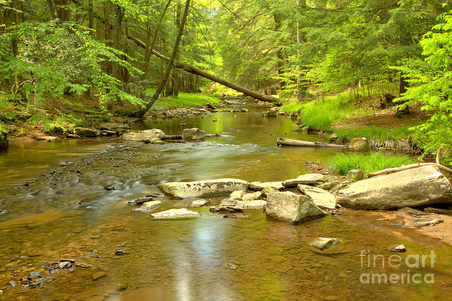Tranquil In Toms Run Photograph by Adam Jewell