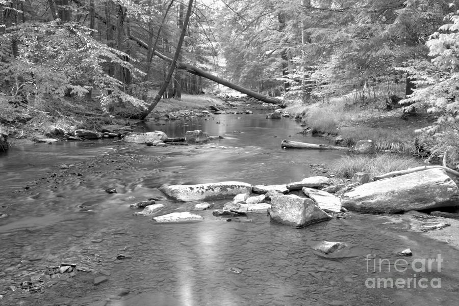 Tranquil In Toms Run Black And White Photograph by Adam Jewell