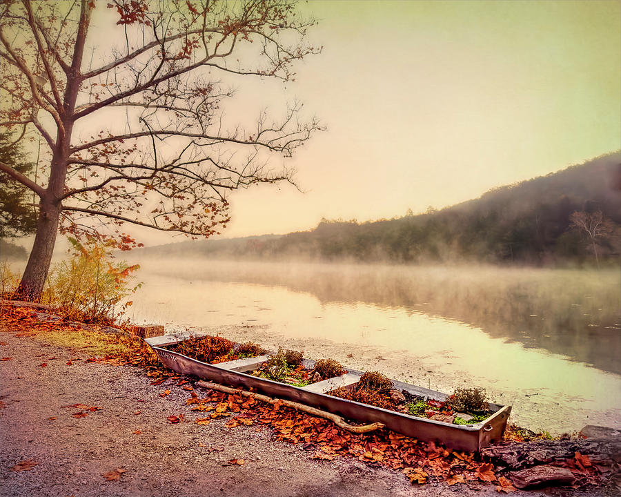 Tranquil Misty Morning Fog At The Lake Shore Photograph by Ann Powell