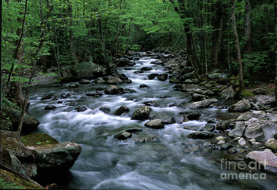 Tranquil Moments on Little Pigeon Creek Photograph by Sandra Bronstein