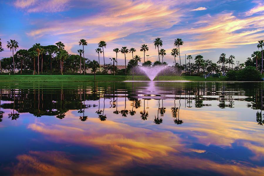 Tranquil Reflections Capturing the Beauty of a Palm Beach Garden Photograph by Kim Seng
