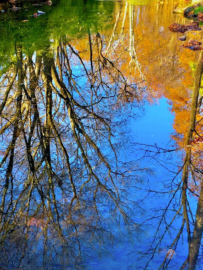 Tranquil Reflections Wyomissing Photograph by Blair Seitz
