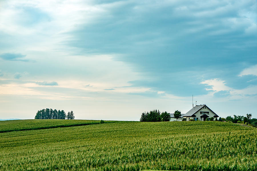 Tranquil scene in Biei Photograph by Liyao Xie Tranquil scene in Biei Photograph by Liyao Xie