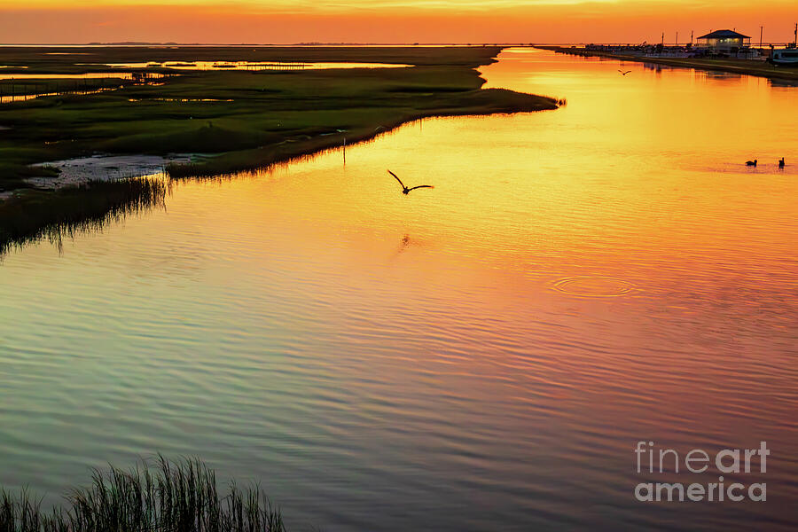 Tranquil Sunset Over Wetlands at Surfside Beach, Texas Photograph by Brigitte Blanchette Thompson