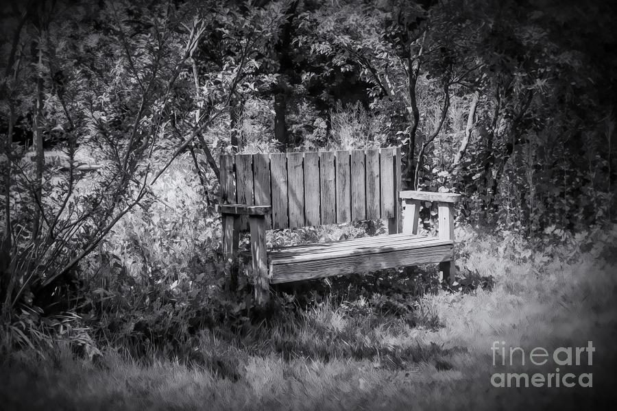 Tranquil Thinking Spot Photograph by Karen Silvestri Tranquil Thinking Spot Photograph by Karen Silvestri