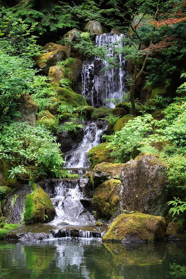 Tranquil waterfall Photograph by Cody Franklin - Pixels