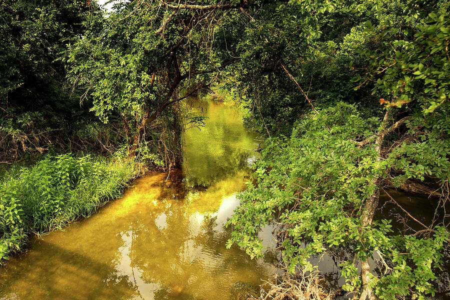 Tranquil Waters - A Springtime Journey Through the Texas Hill Country Photograph by Brigitte Blanchette Thompson Tranquil Waters - A Springtime Journey Through the Texas Hill Country Photograph by Brigitte Blanchette Thompson