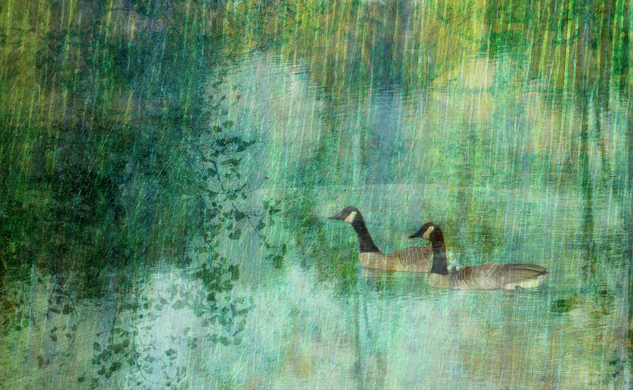 Tranquility Mixed Media by Ann Powell