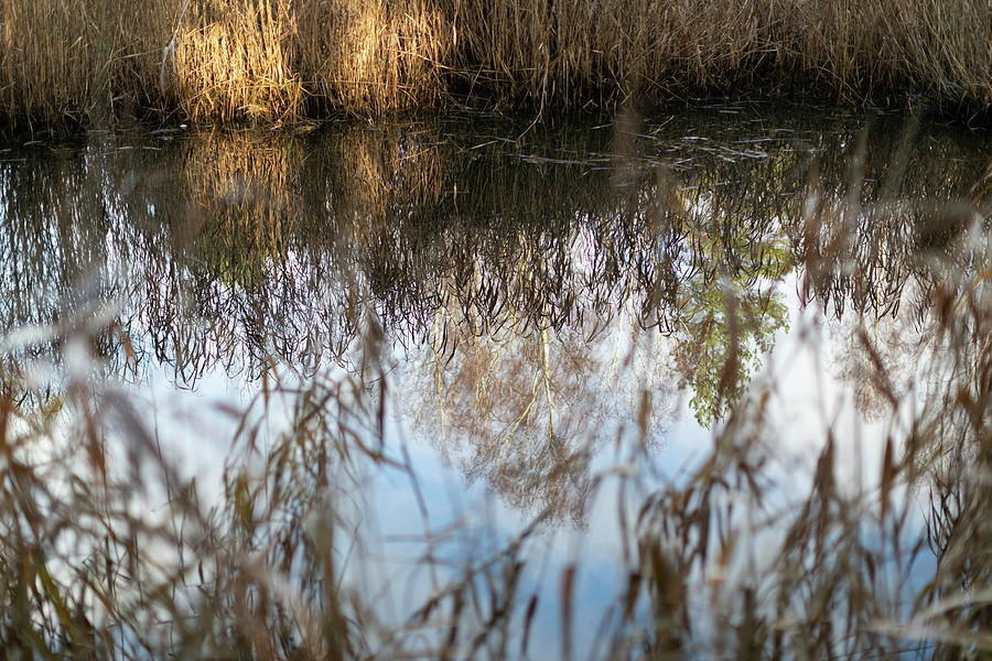Tranquility By The Reflection Lake Latvia  Photograph by Aleksandrs Drozdovs