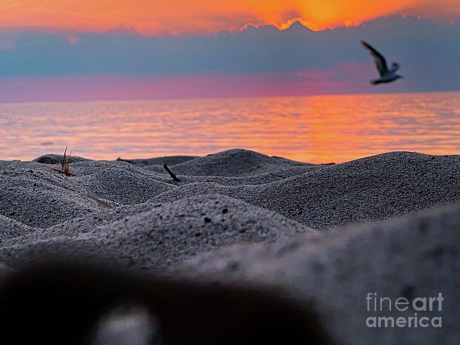 Tranquility Photograph By Matthew Enders Fine Art America