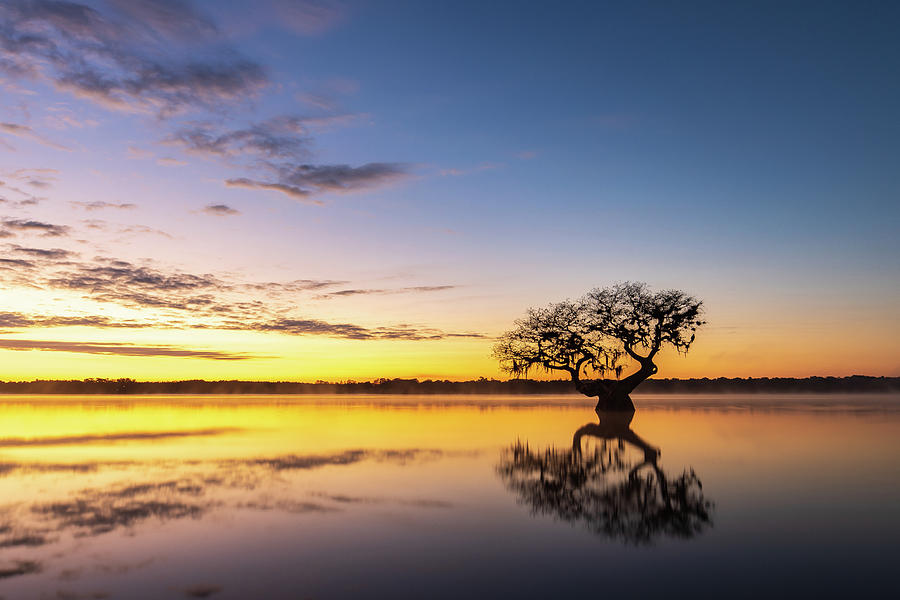 Tranquility Photograph by Stefan Mazzola
