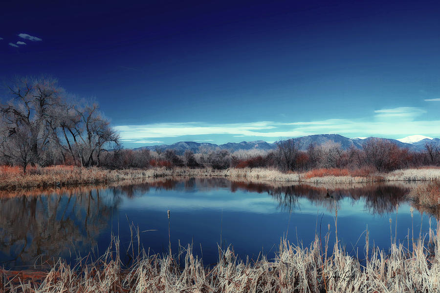 Colorado Digital Art - Tranquil_Marsh_20200328 by Joseph Liberti Colorado Digital Art - Tranquil_Marsh_20200328 by Joseph Liberti