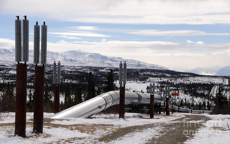 Trans-Alaska Oil Pipeline - Isabel Pass - Alaska Range Photograph by Gary Whitton
