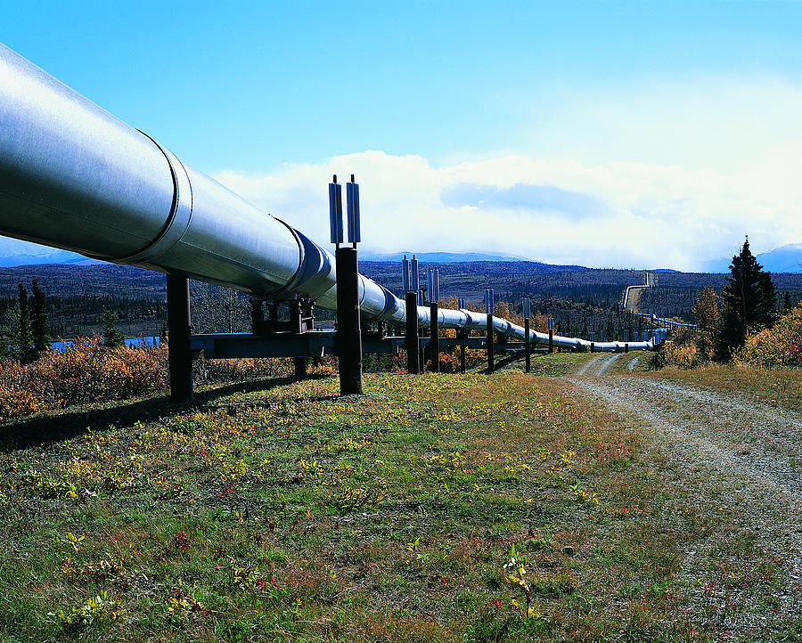 Trans Alaska Pipeline, Alaska, Usa Photograph by Travel Ink