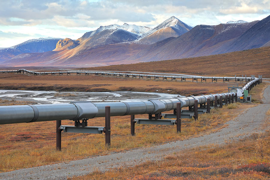 Trans-Alaska Pipeline and Dalton Highway Photograph by Rainer Grosskopf