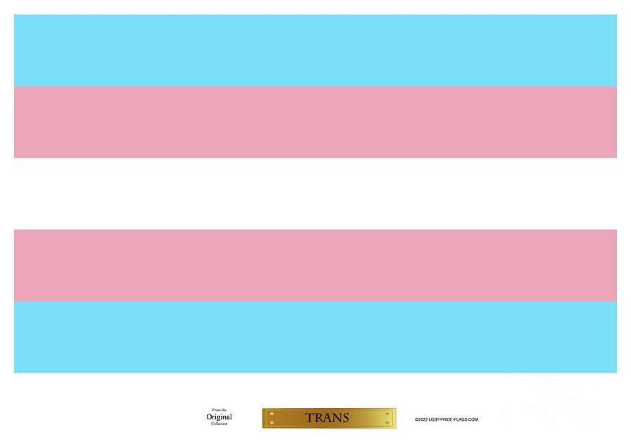 Trans Flags Digital Art By Pride Flags Pixels