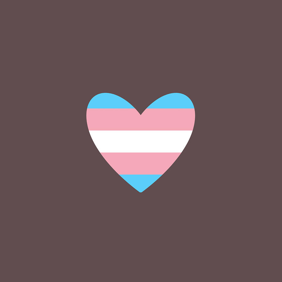 Flag Digital Art - Trans heart by Evie Eddins