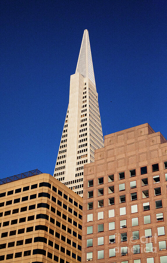 Transamerica Architecture SF  Photograph by Chuck Kuhn