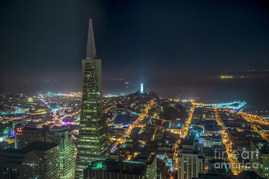Skyscraper Photograph - Transamerica Pyramid and the San Francisco Skyline at Night Aeri by David Oppenheimer