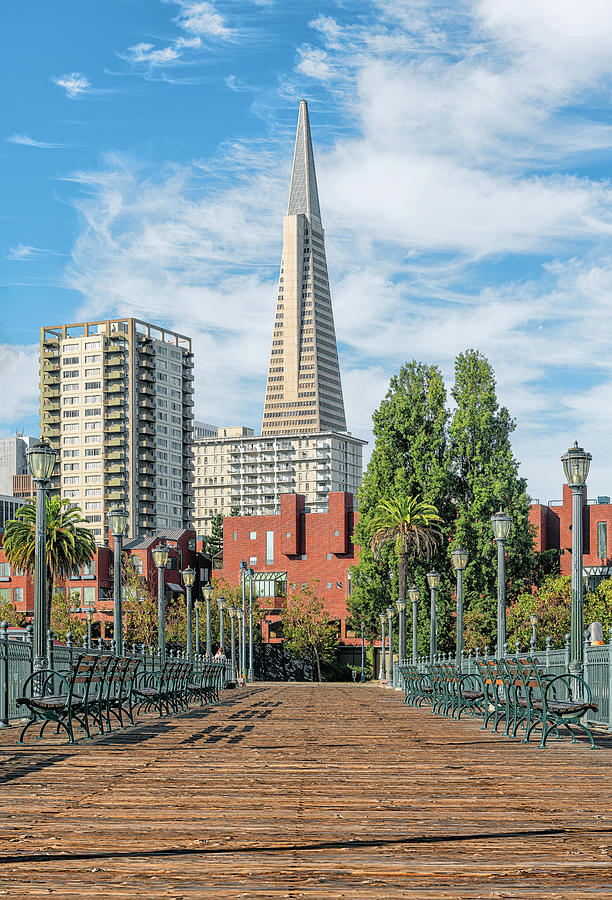 Transamerica Pyramid from Pier 7  Photograph by Rudy Wilms