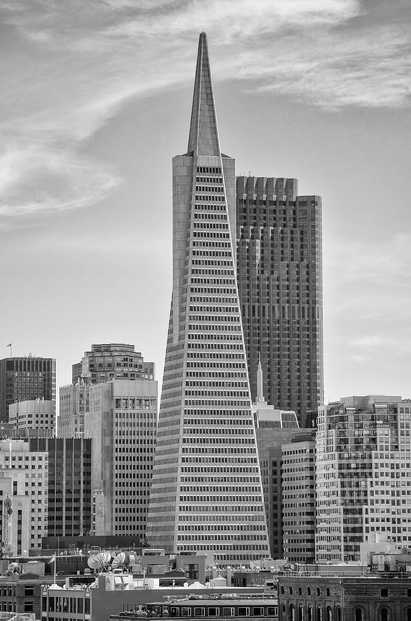 Transamerica Pyramid San Francisco Black and White Photograph by Shawn OBrien