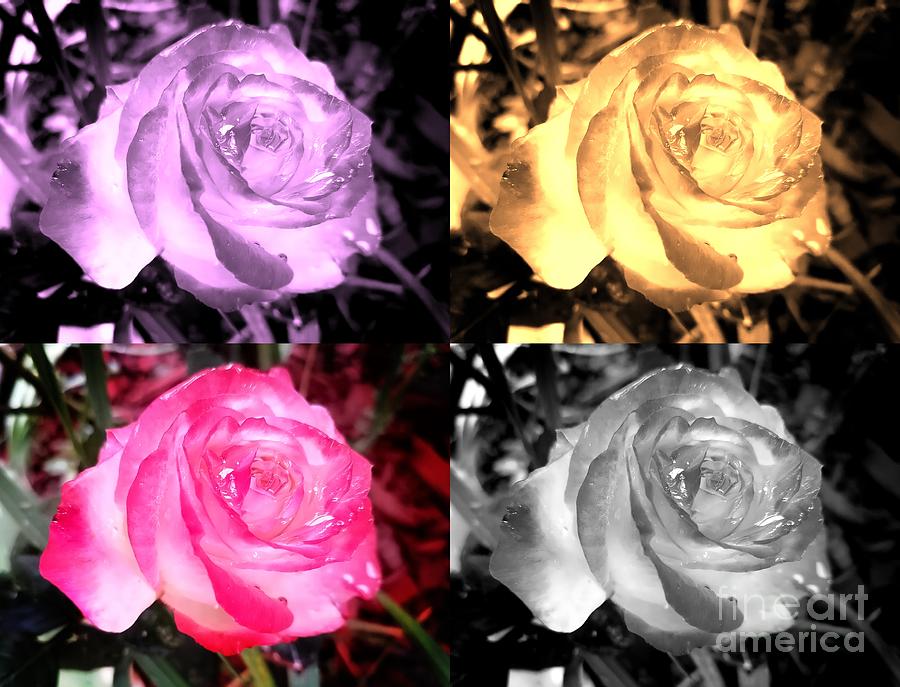 Transformation Of A Rose In Warhol style Photograph by Leonida Arte