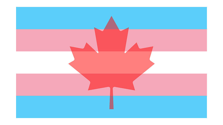 Transgender Flag with Maple Leaf Digital Art by SAURAVphoto Online Store