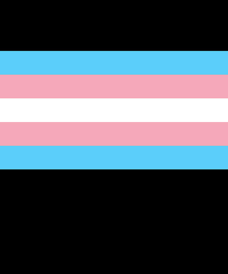 Transgender Pride Flag Digital Art by Flippin Sweet Gear