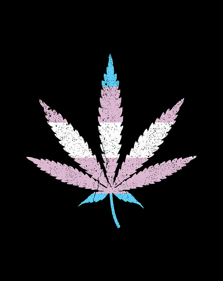 Transgender Pride Flag Marijuana Pot Leaf Digital Art by Luke Henry
