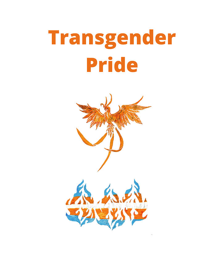 Transgender Pride - Phoenix Drawing by Branwen Drew