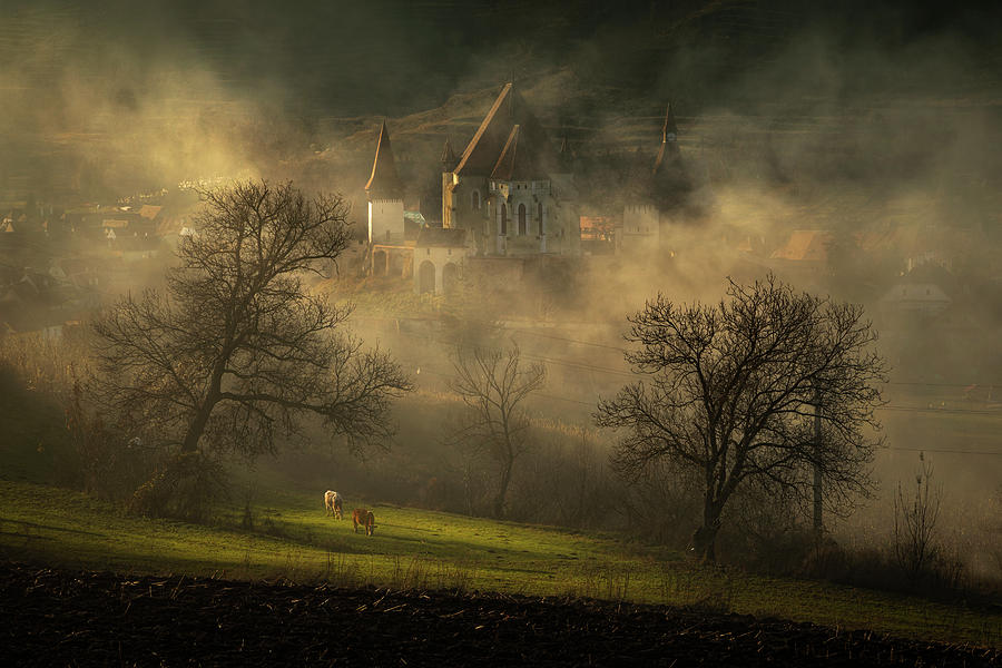 Transilvania Photograph by Piotr Skrzypiec