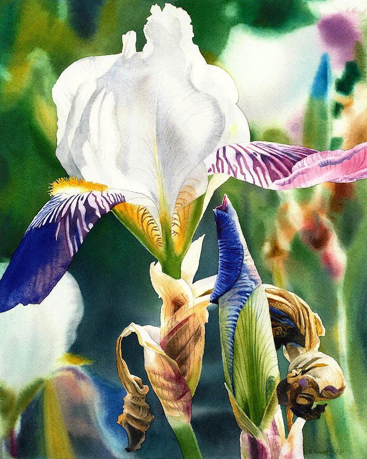 Translucent Iris Painting by Espero Art